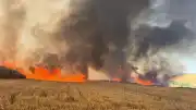 Tekirdağ Süleymanpaşa'da Buğday Tarlalarında Yangın Çıktı