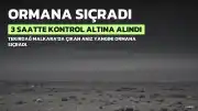 Tekirdağ Malkara'da Anız Yangını Ormana Sıçradı: 3 Saatte Kontrol Altına Alındı