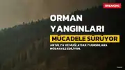 Türkiye Orman Yangınlarıyla Mücadele Ediyor: Antalya ve Muğla'da Son Durum