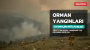 Türkiye'de Orman Yangınlarıyla Mücadele Sürüyor: Aydın Çine'de Kritik Durum