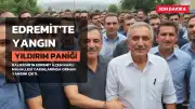 Balıkesir'in Edremit ilçesinde orman yangını: Yıldırım paniği