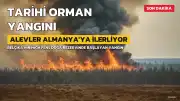 Belçika'da Tarihi Orman Yangını: Alevler Almanya'ya Doğru İlerliyor