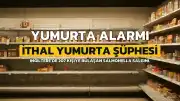 İngiltere'de Salmonella Salgını: 1 Ölü, 207 Vaka, İthal Yumurta Şüphesi