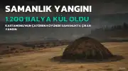 Kastamonu'da Yangın: 1.200 Balya Saman Kül Oldu