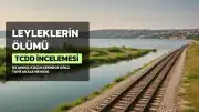 Leyleklerin Ölümü Sonrası TCDD Harekete Geçti: Bilimsel İnceleme Başlatıldı
