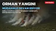 Muğla'nın Yatağan İlçesinde Orman Yangını: Müdahale Devam Ediyor