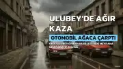 Ulubey'de Ağaca Çarpan Otomobil Sürücüsünün Ölümüne Neden Oldu