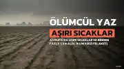Avrupa'da Aşırı Sıcaklar: 50 Binden Fazla Can Kaybı, İklim Krizi Halk Sağlığı Felaketi Haline Geldi
