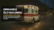 Sakarya'da Kestane Toplarken Kaybolan 66 Yaşındaki Adam Ölü Bulundu