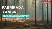 Tuzla'da Ayakkabı Fabrikasında Yangın: Müdahale Devam Ediyor