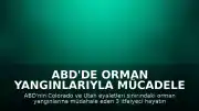 ABD'de Orman Yangınlarıyla Mücadele Eden 3 İtfaiyeci Yaşamını Yitirdi