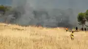 Ayvalık Sakarya Mahallesi'nde Otluk Alanda Yangın Çıktı