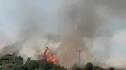 Çanakkale Ezine'de Orman Yangını: Havadan ve Karadan Müdahale Sürüyor