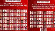 İçişleri Bakanlığı: Yurt Dışından Getirilen 90 Organize Suçlu Yakalandı