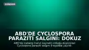 ABD'de Cyclospora Paraziti Salgını: Dokuz Eyalet Etkilendi