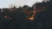 Adana Kozan'da Orman Yangını: Müdahale Devam Ediyor