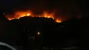 Aydın'ın Çine ilçesindeki orman yangını: Hayvanlar tahliye edildi