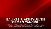 Balıkesir Altıeylül'de Orman Yangını: Ekiplerin Müdahalesi Sürüyor