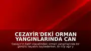 Cezayir'deki Orman Yangınlarında Can Kaybı ve Yaralanma Bildirildi