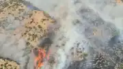 Denizli Pamukkale'de Orman Yangını Çıktı