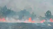Diyarbakır Hani'de Orman Yangını Söndürüldü