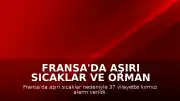 Fransa'da Aşırı Sıcaklar ve Orman Yangınları: 37 Vilayet İçin Kırmızı Alarm Verildi