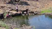 Hatay Hassa'da kayıp kadın için geniş çaplı arama faaliyeti