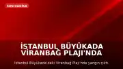 İstanbul Büyükada Viranbağ Plajı'nda Yangın Çıktı
