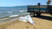 İzmir Selçuk'ta Pamucak Sahili'nde Kimliği Belirlenemeyen Erkek Cesedi Bulundu