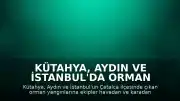 Kütahya, Aydın ve İstanbul'da Orman Yangınları Meydana Geldi