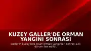 Kuzey Galler'de Orman Yangını Sonrası Acil Durum İlan Edildi