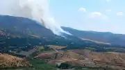 Malatya Pütürge'de Orman Yangını Çıktı
