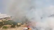 Mardin Ömerli'de Ormanlık Alanda Yangın Çıktı