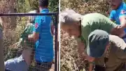 Muğla Bodrum'da Yangın: Kendini Yakmak İsteyen Kadın Makilik Alanı Ateşe Verdi