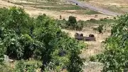 Muş'un Bulanık İlçesinde Traktör Römorku Uçuruma Yuvarlandı: 1 Ölü, 23 Yaralı