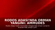 Rodos Adası'nda Orman Yangını: Ammudes Bölgesinde Alevler Yükseldi