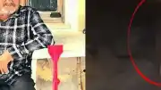 Seferihisar'da Balkonda Uyuyan Vatandaşa Ayı Saldırısı: 1 Ölü