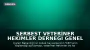 Serbest Veteriner Hekimler Derneği Genel Başkanı Bilsay Kanat: "Bize kaç hayvan toplandığını değil, kaçının yaşatıldığını söyleyin"