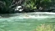 Şırnak'ta Habur Çayı'nda Kaybolan E.S. İçin Arama Çalışmaları Üçüncü Gününde Sürüyor
