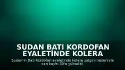 Sudan Batı Kordofan Eyaletinde Kolera Salgını: Can Kaybı 30'a Yükseldi