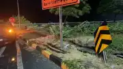 Zonguldak'ta Trafik Kazası: 5 Yaralı