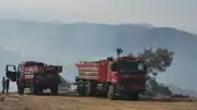 Aydın'daki Orman Yangını 3. Gününde Devam Ediyor