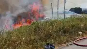 Burhaniye'de Ot Yangını Söndürüldü