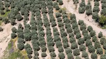 Osmaniye'de Kaçak Kazıya Dronla Müdahale: 6 Kişi Gözaltına Alındı