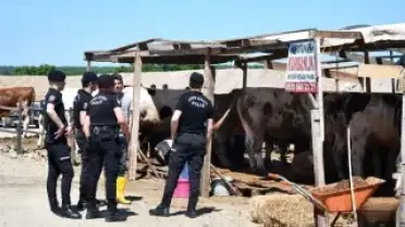 Kurban Pazarında Çıkan Kavgada 5 Kişi Yaralandı