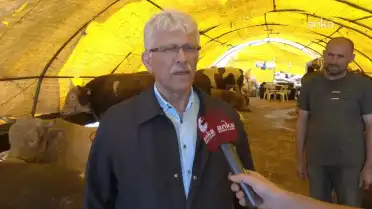 Türk Veteriner Hekimleri Birliği'nden Kurbanlık Hayvan Alımı Konusunda Uyarı