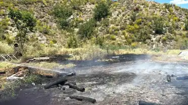 Bilecik Söğüt'te Seralık Alanda Yangın Çıktı