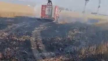 Şırnak'ın Silopi ilçesinde buğday ekili arazide yangın: 10 dönüm alan zarar gördü