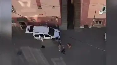 Kartal'da Kiracı Dehşeti: Ev Sahibi Bıçaklanarak Hayatını Kaybetti