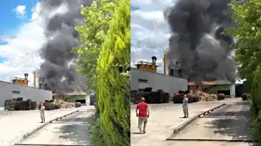 Sakarya'daki Palet Fabrikasında Yangın: Can Kaybı Yok